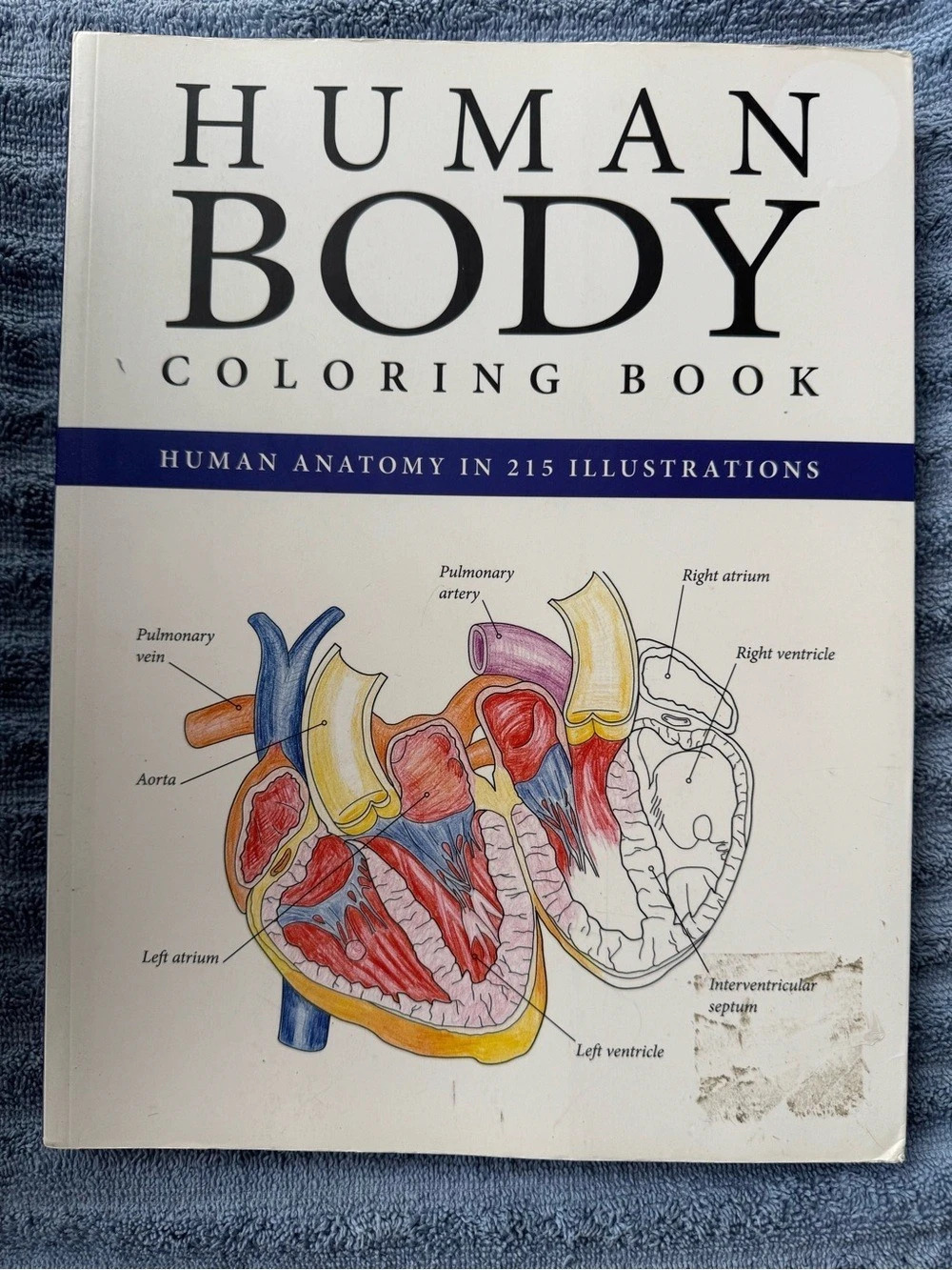 Metro Books Human Body Coloring Book: Human Anatomy in 215 Illustrations Blue